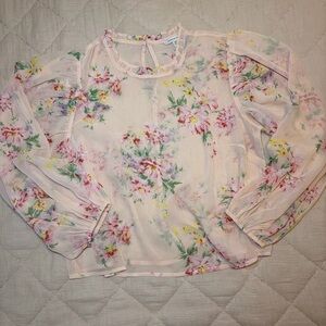 American Eagle Outfitters Light Pink Floral Sheer Blouse